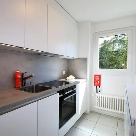 Cristal Appartement-fewo 6-bettwohnung Nr- 8 By Interhome Saas-Fee